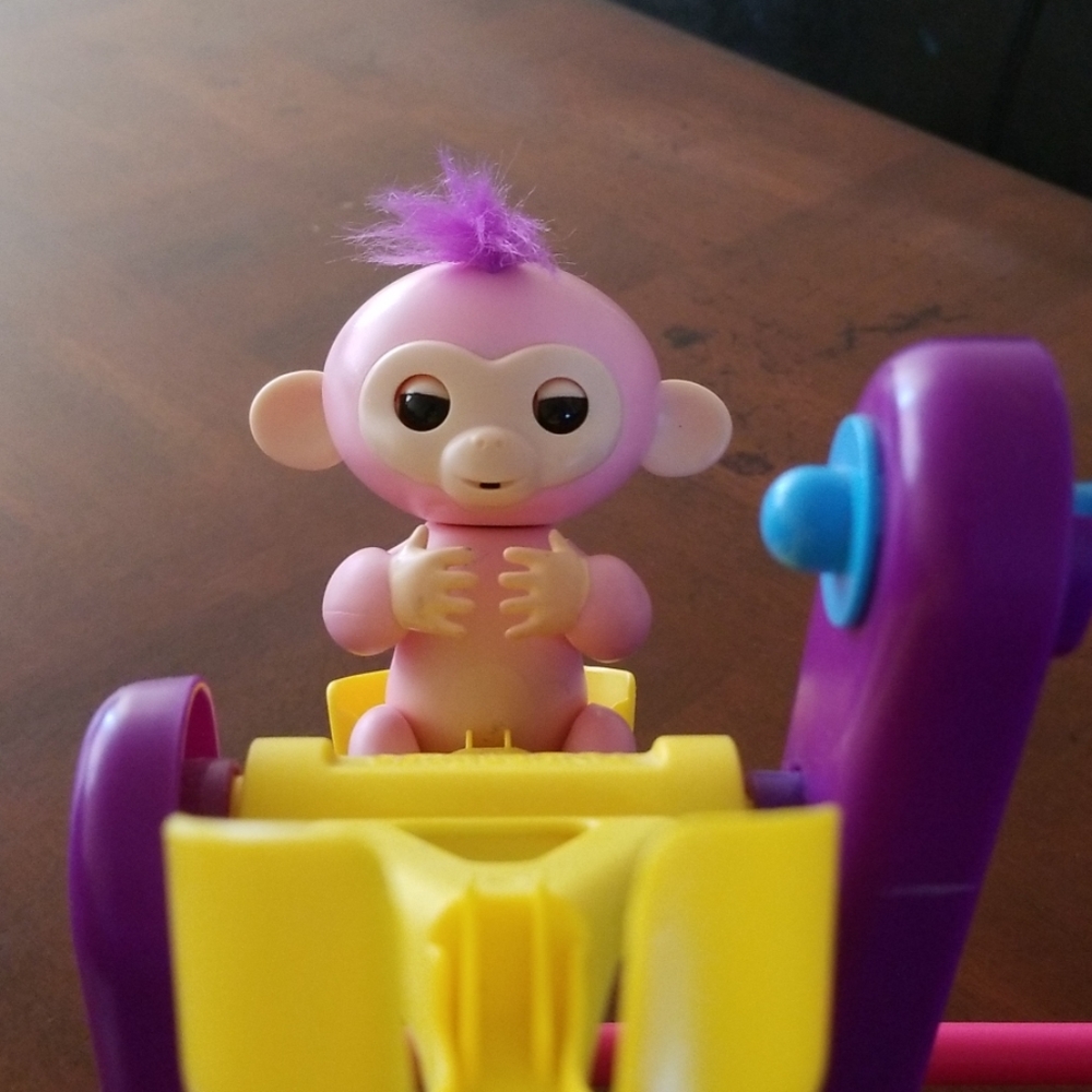 Fingerlings toy